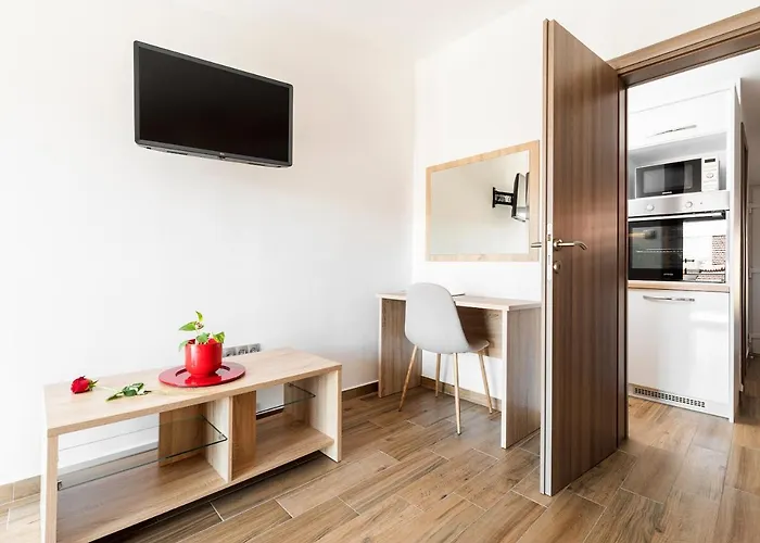 Fancy Dream Apartment